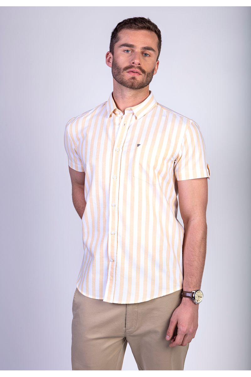 CAMISA LOTHIAN PINE